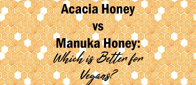 Acacia honey vs manuka honey Which is better for vegans