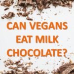 CAN VEGANS EAT MILK CHOCOLATE