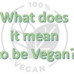 What is vegan what does it mean to be vegan