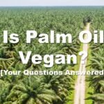 Why is palm oil not vegan
