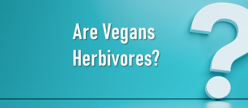 Are Vegans Herbivores