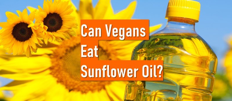 Can Vegans Eat Sunflower Oil - Is sunflower oil vegan